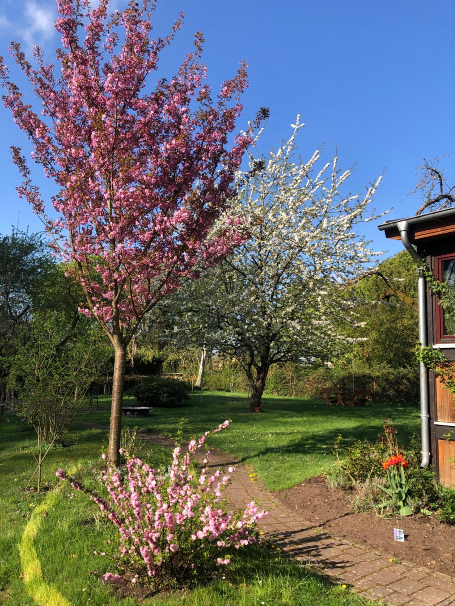 Ferienwohnung Kastanienblick oder Parkblick Ziethen  Exterior foto